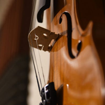 violino